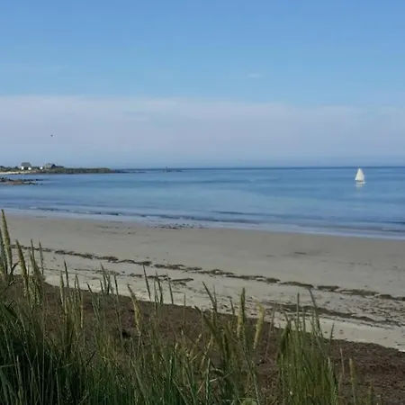 La Palmeraie De Brévy * Réville