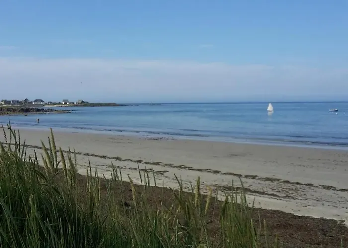 La Palmeraie De Brevy * Reville