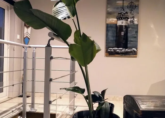 La Palmeraie De Brevy *