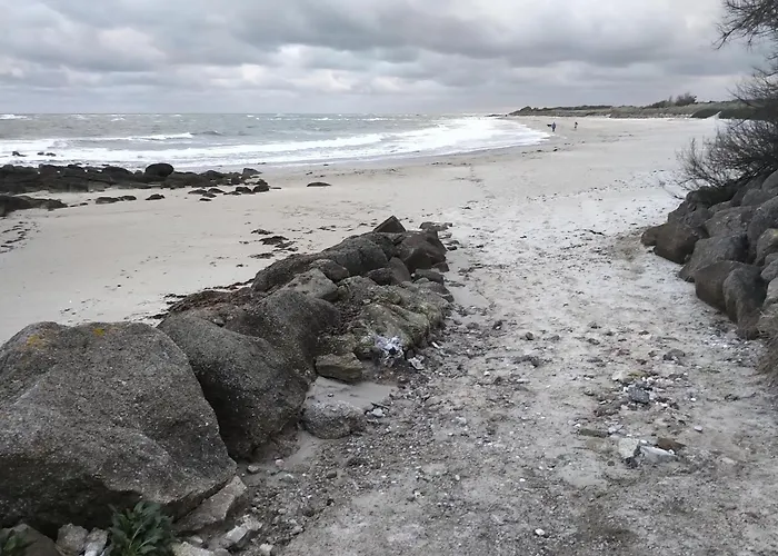 La Palmeraie De Brevy Réville