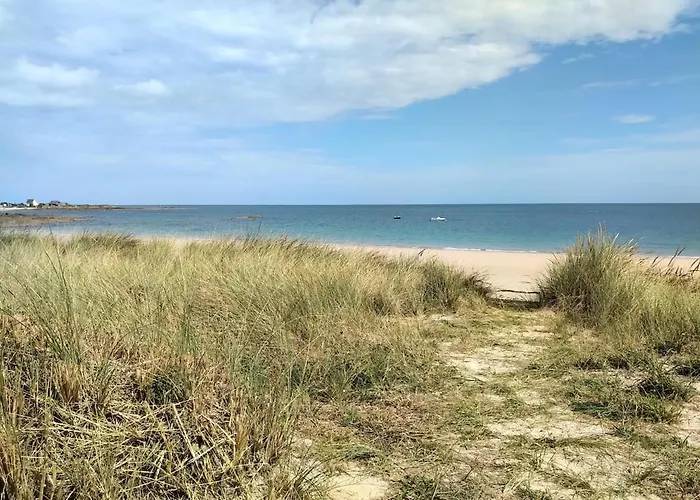 La Palmeraie De Brevy